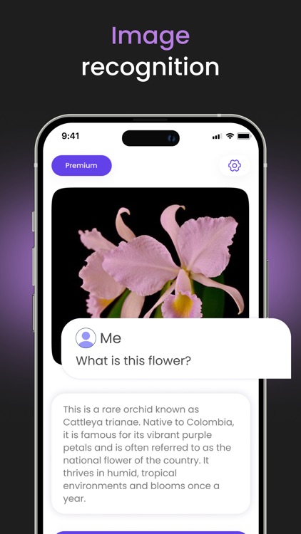 AI Email Assistant - Responder screenshot-3