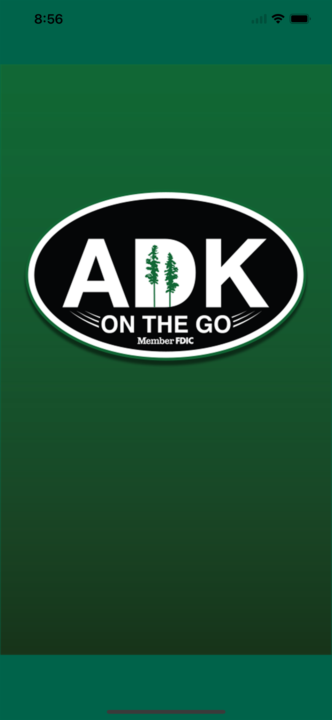 Adirondack Bank Mobile Money