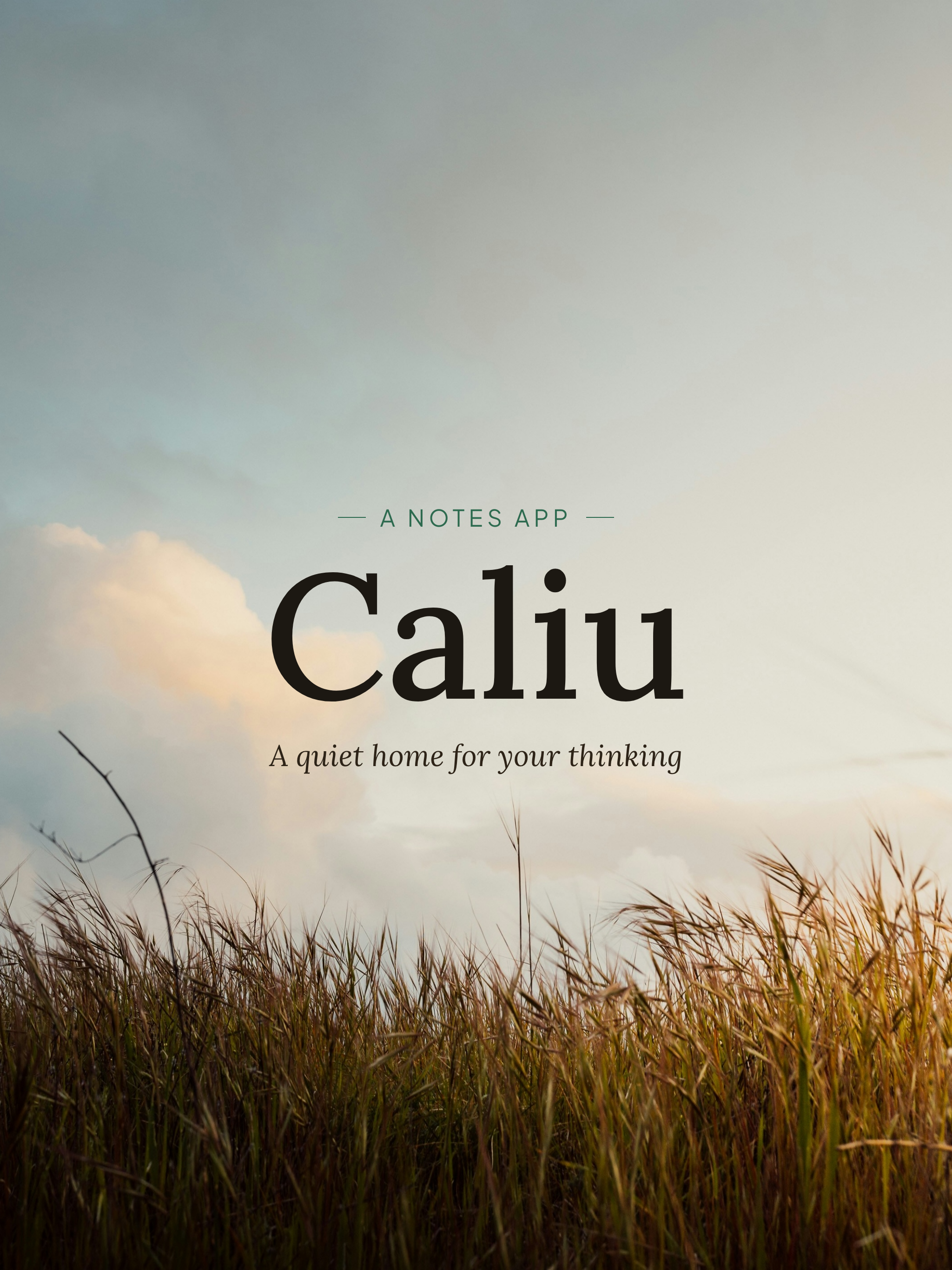 Caliu - A notes app screenshot 8