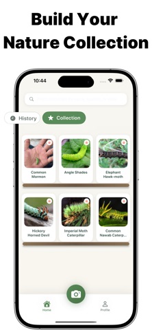 CaterID Caterpillar Identifier Screenshot 2 of 6