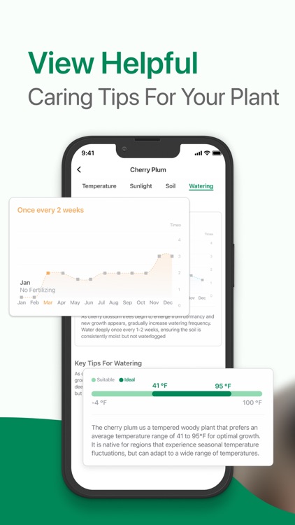 Identify My Plant Now