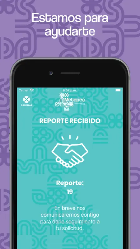 Metepec *7311 screenshot 5 of 5