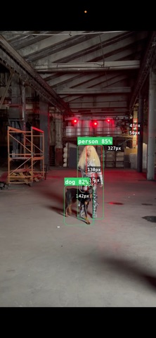 Panoptican Blob Detection screenshot