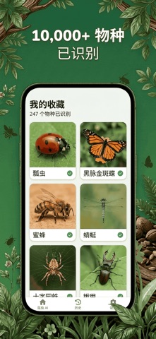 Bug Ai: 昆虫、蜘蛛、黄蜂 screenshot