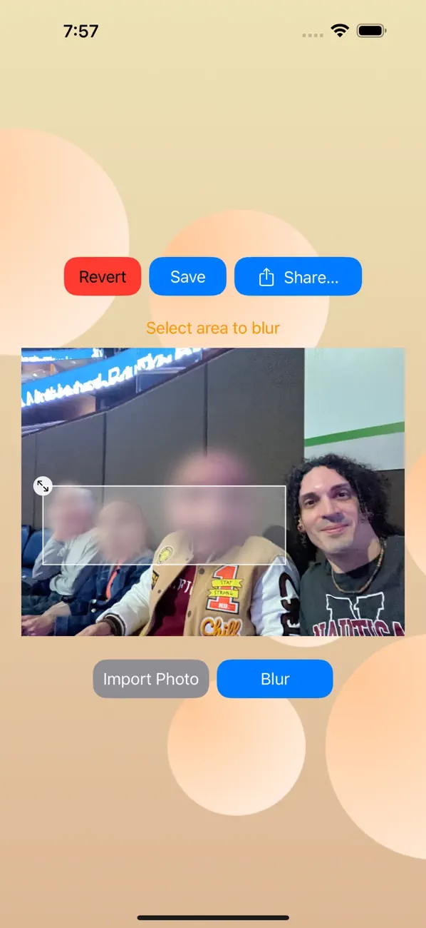 Screenshot #2 pour Photo Face Blur