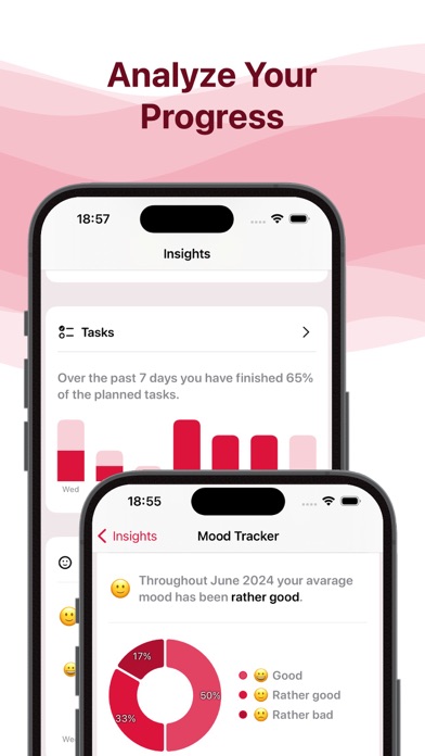 Journal: Plan & Reflect Screenshot