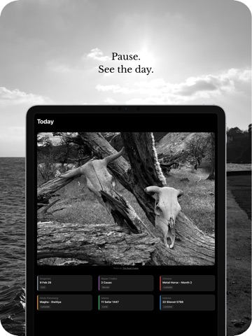The Quiet Frame Screenshot 2