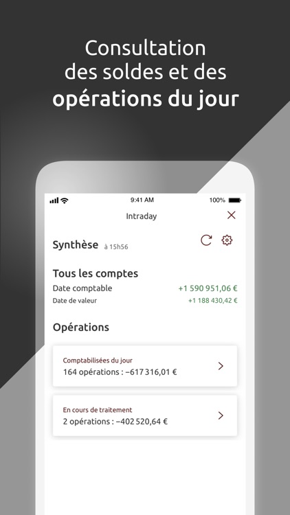 ePalatine Entreprises screenshot-3