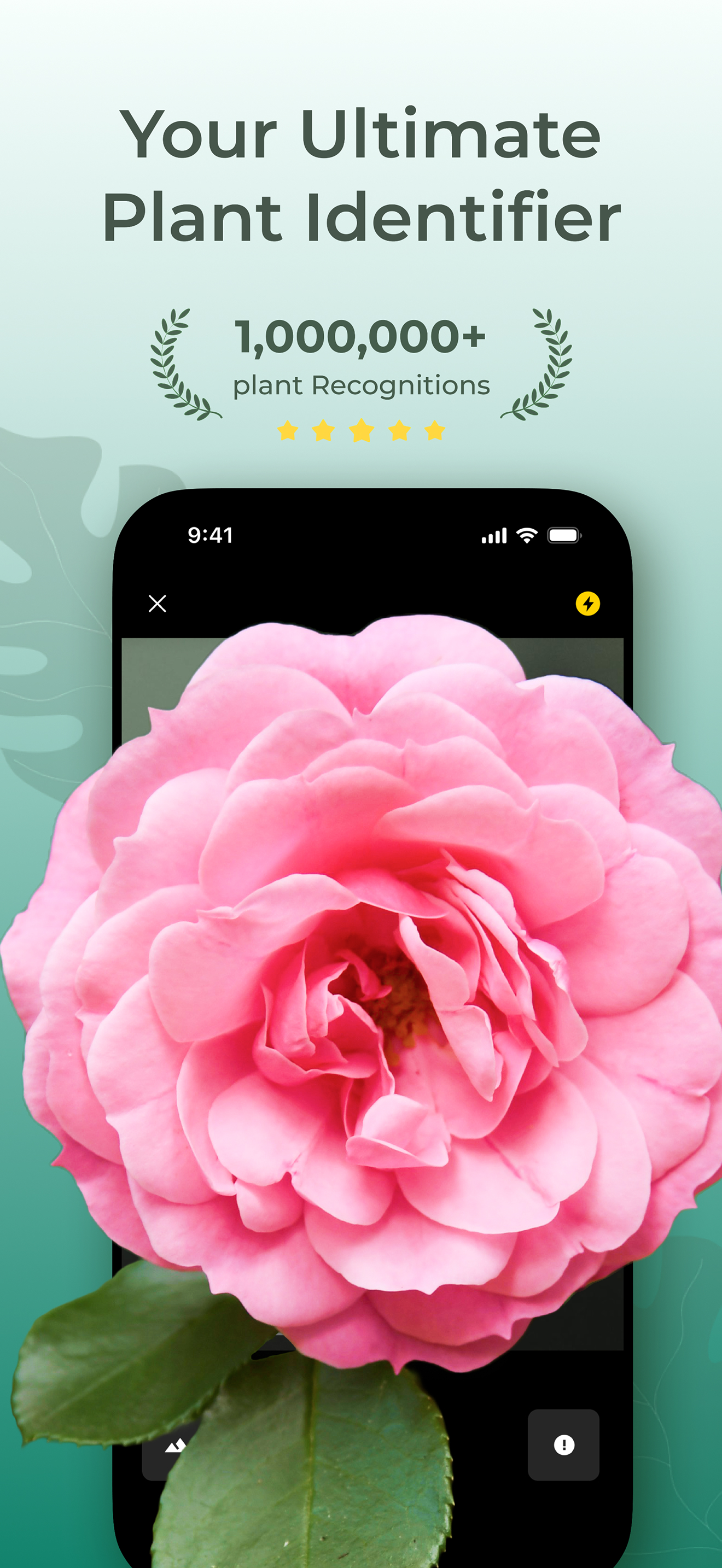 Plant Identifier: PlantScope