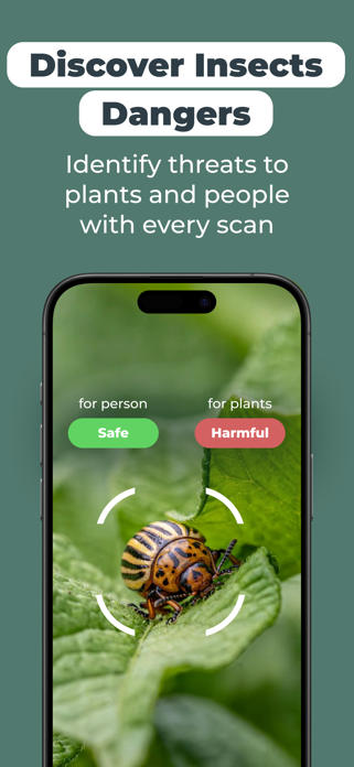 Insect Bug Identifier: BugScan Screenshot 2 of 6