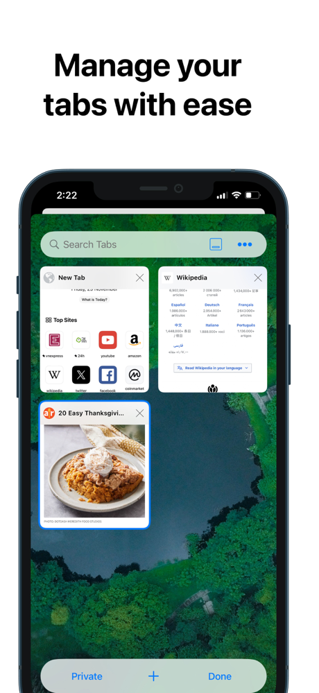 RedApp浏览器 screenshot 2