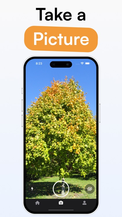 TreeID - Tree Identifier