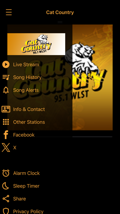 Cat Country 95.1 Screenshot