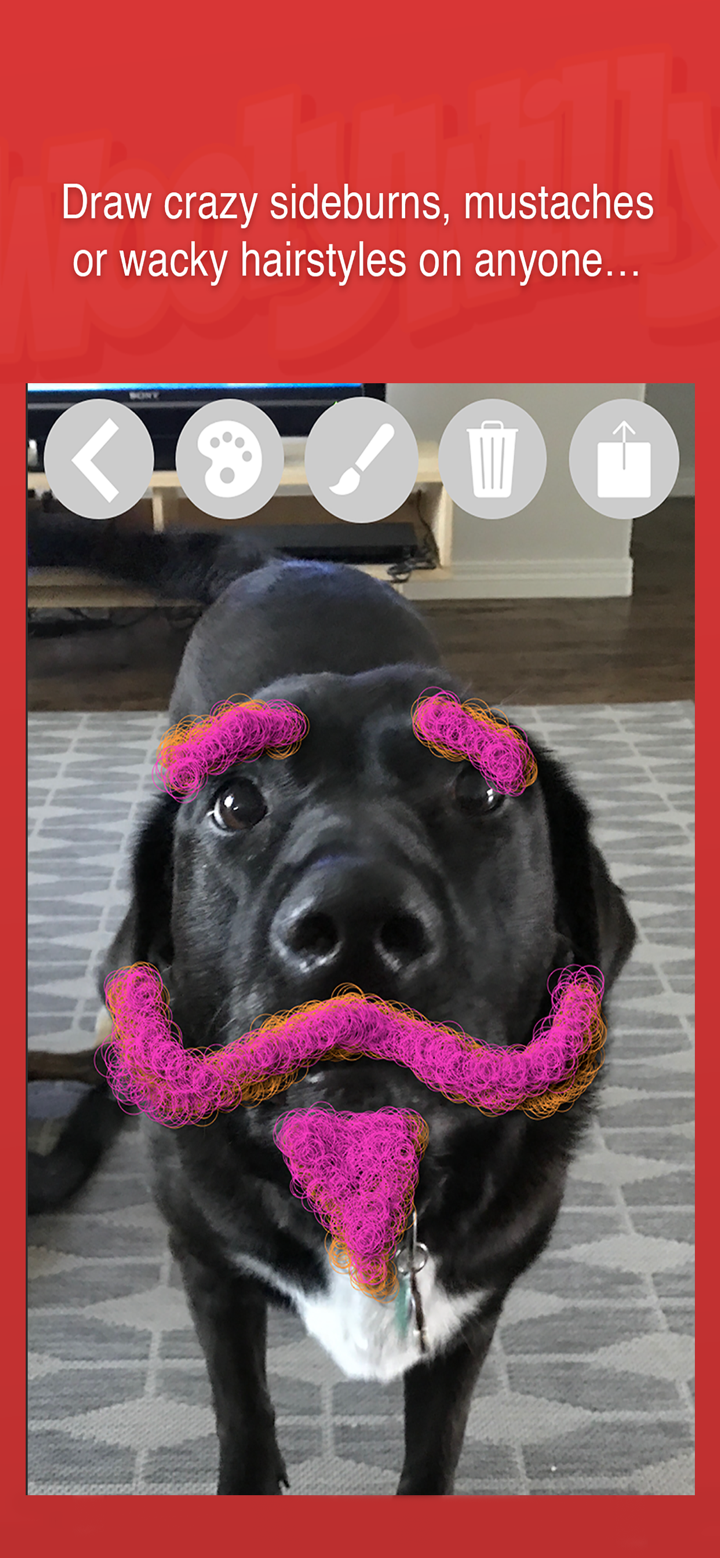 Wooly Willy screenshot 3