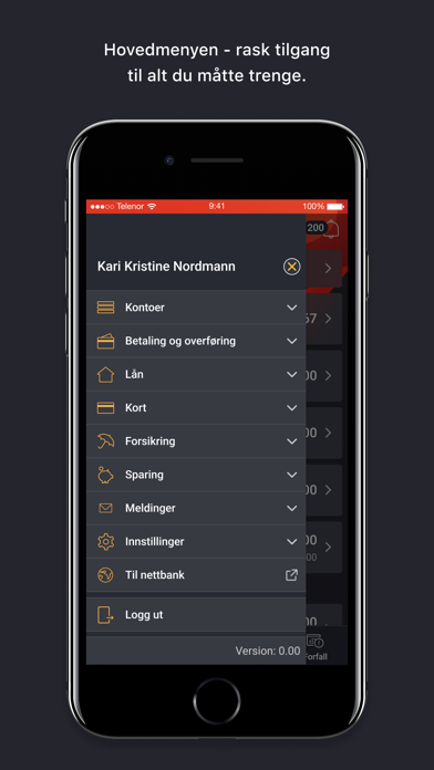 DinBank Mobilbank Screenshot