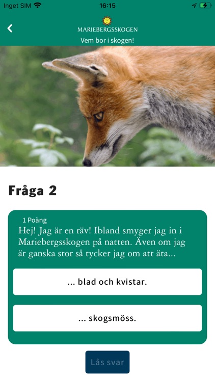 Mariebergsskogen screenshot-3