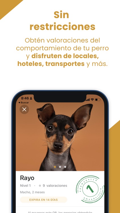 Appmypets
