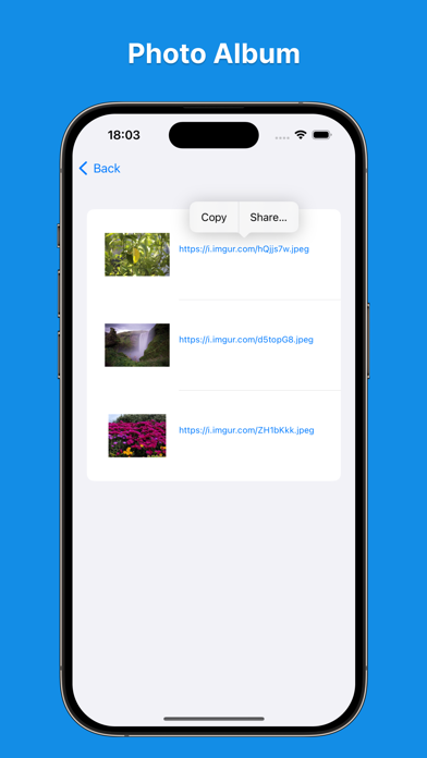 Imgur Image Uploader Screenshot