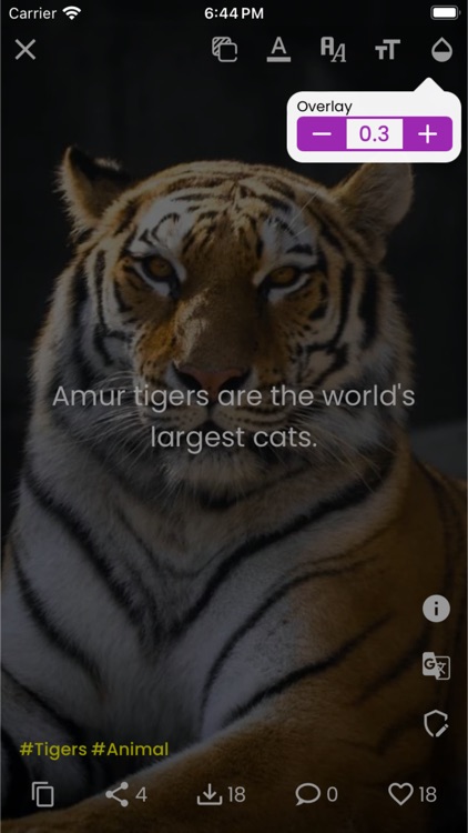 Amazing Facts - Did You Know? screenshot-4