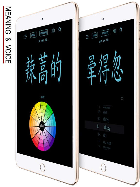 Screenshot #6 pour Northeastern Chinese Dialect