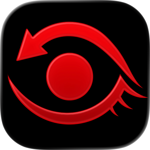 Blinkback: Replay Camera