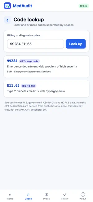 MedAudit screenshot 2