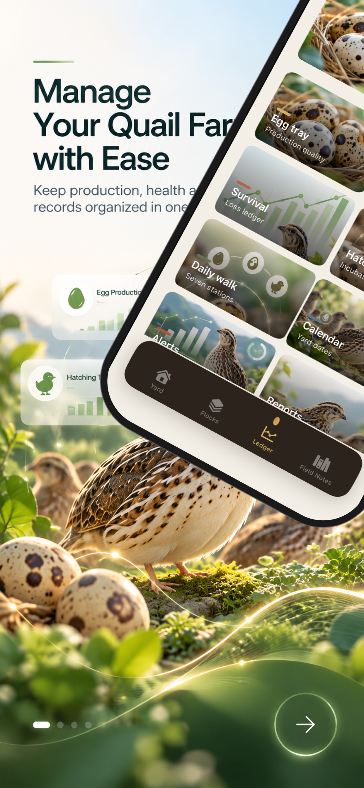 Screenshot 7 of Lpwinquail