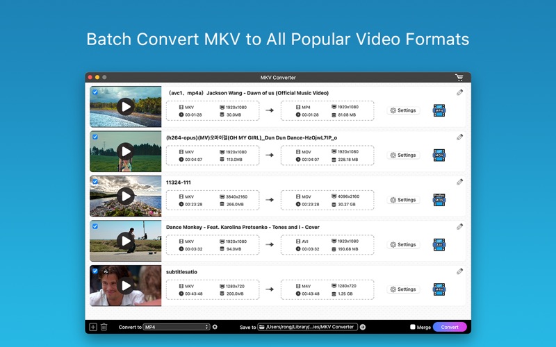 Screenshot #1 pour MKV Converter