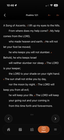 Revivalist Screenshot 6 of 6