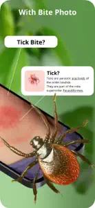 Insect Bite Identification screenshot #2 for iPhone