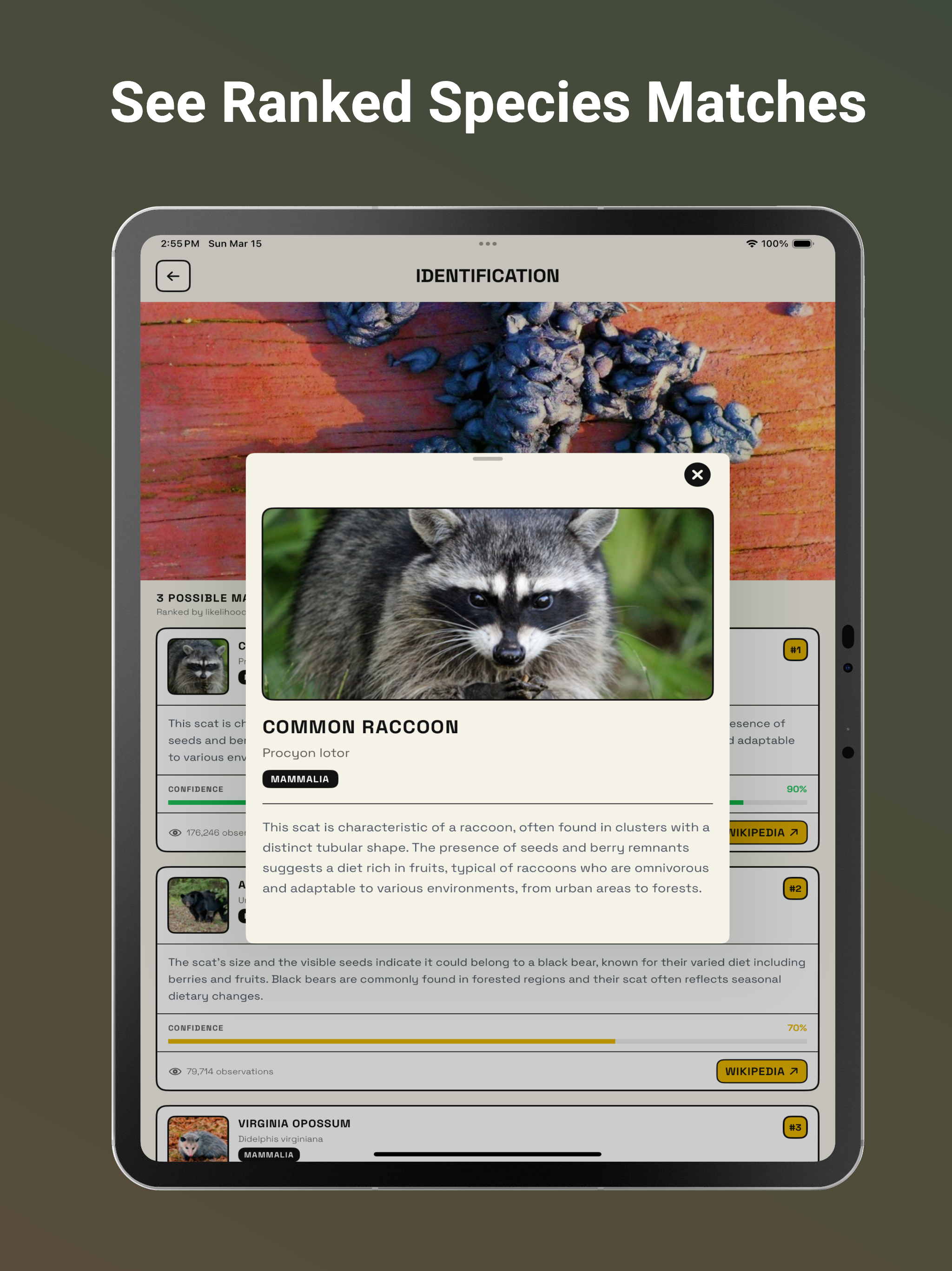 Animal Scat Identifier: AI
