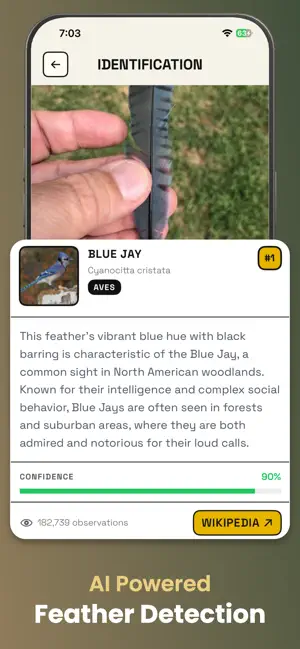 Feather Identifier: Bird ID screenshot 3