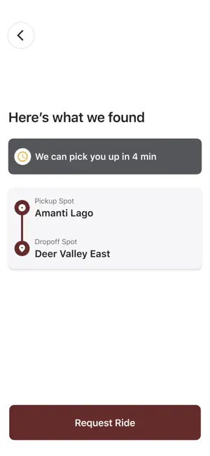 Amanti Lago Ski Shuttle screenshot 3