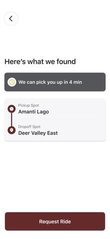 Amanti Lago Ski Shuttle screenshot