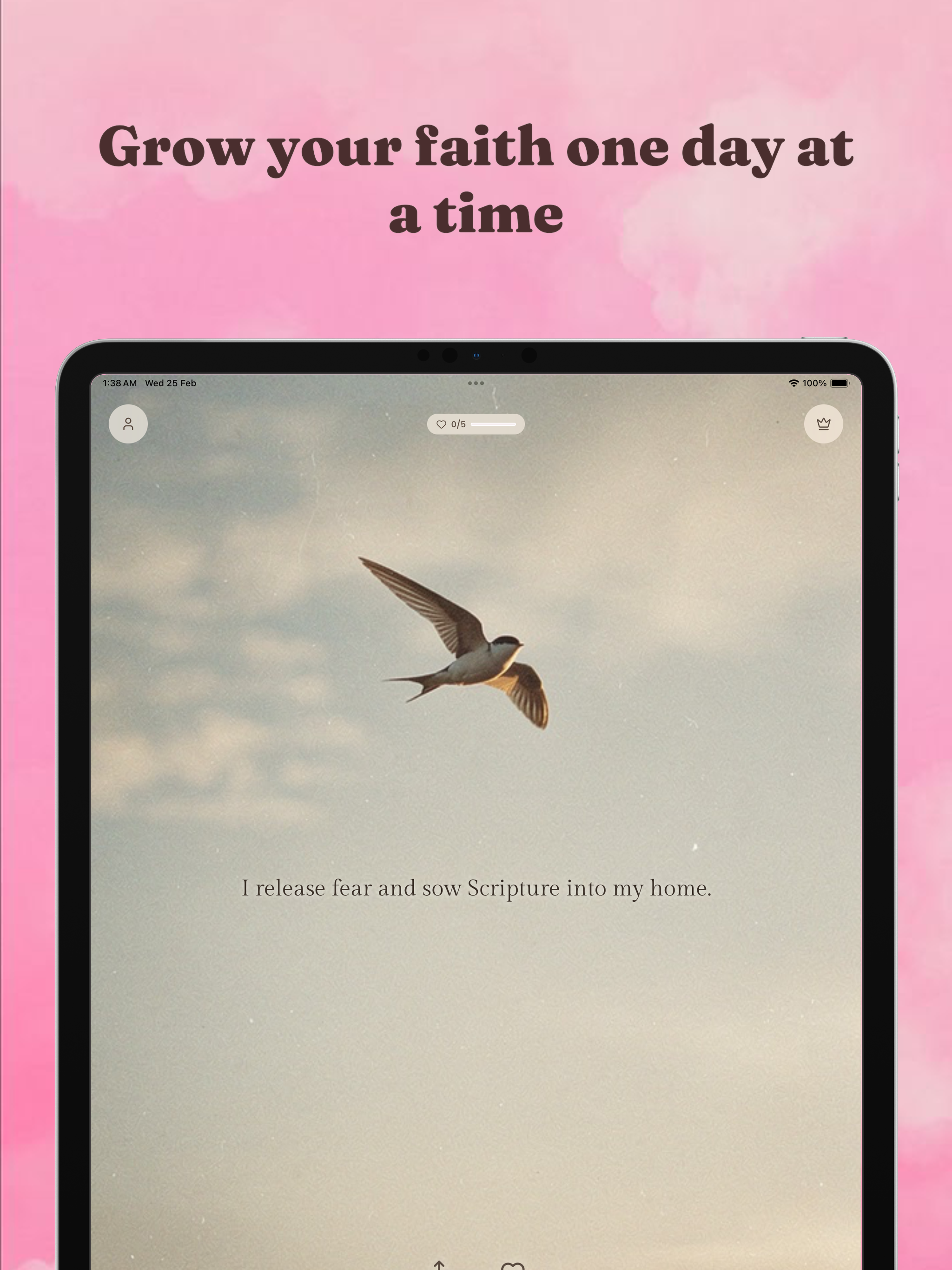 Divine: Women's Bible Widgets