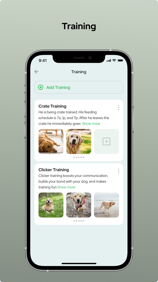 #5. Global Pet Security (iOS) 由: Paul Miller