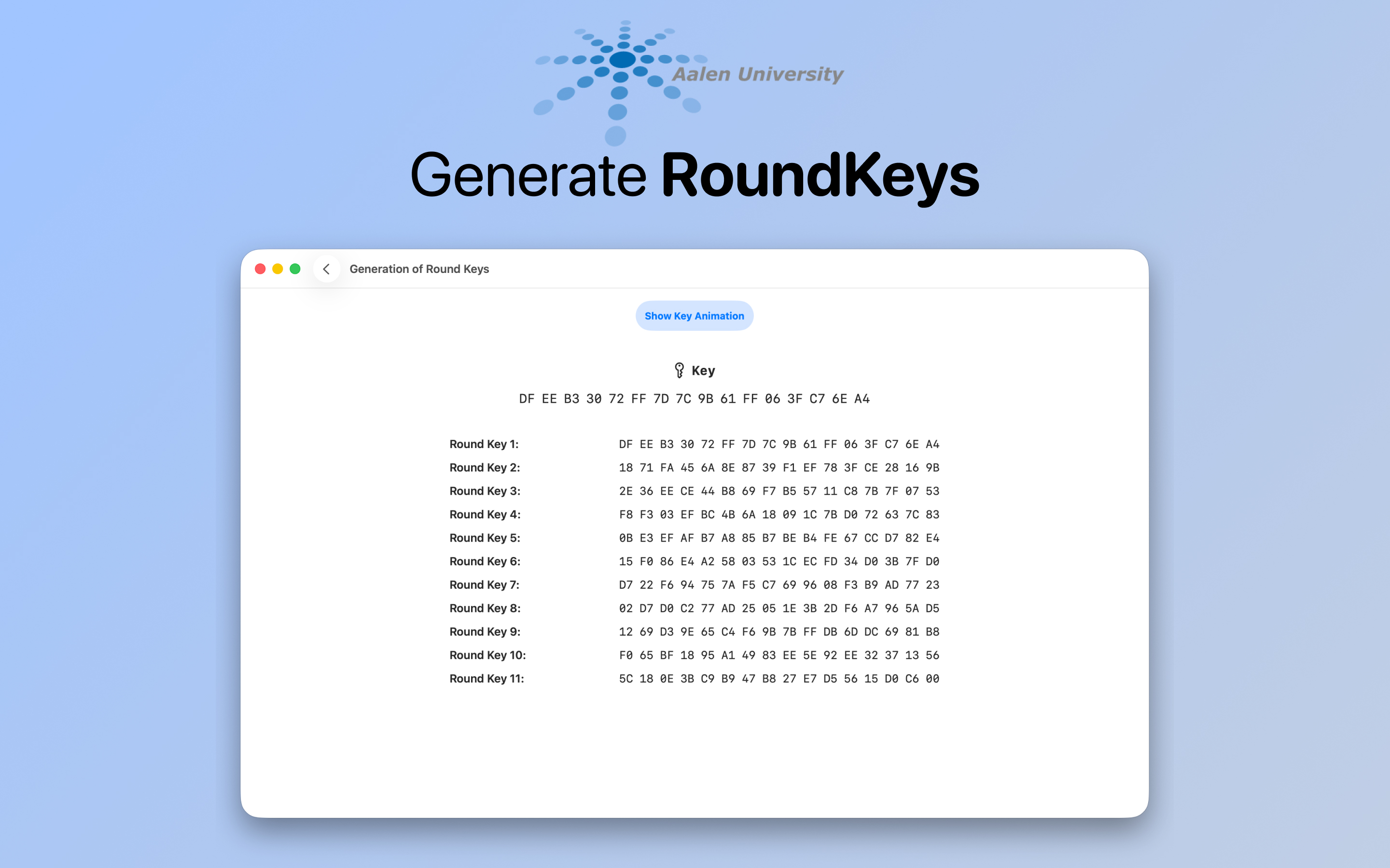 AES-Visualization screenshot 12