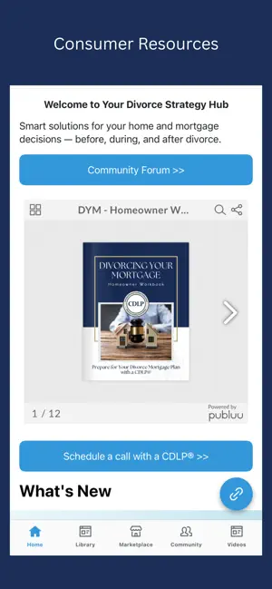 Divorce Strategy Hub screenshot 2