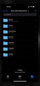 Sync with iCloud Drive screenshot