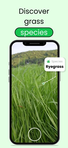 Grass Identifier: Lawn Care screenshot