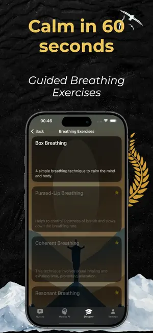 Daily Stoic Journal AI Marcus screenshot 4