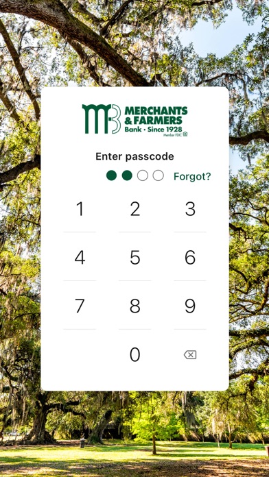 MFB Go Screenshot