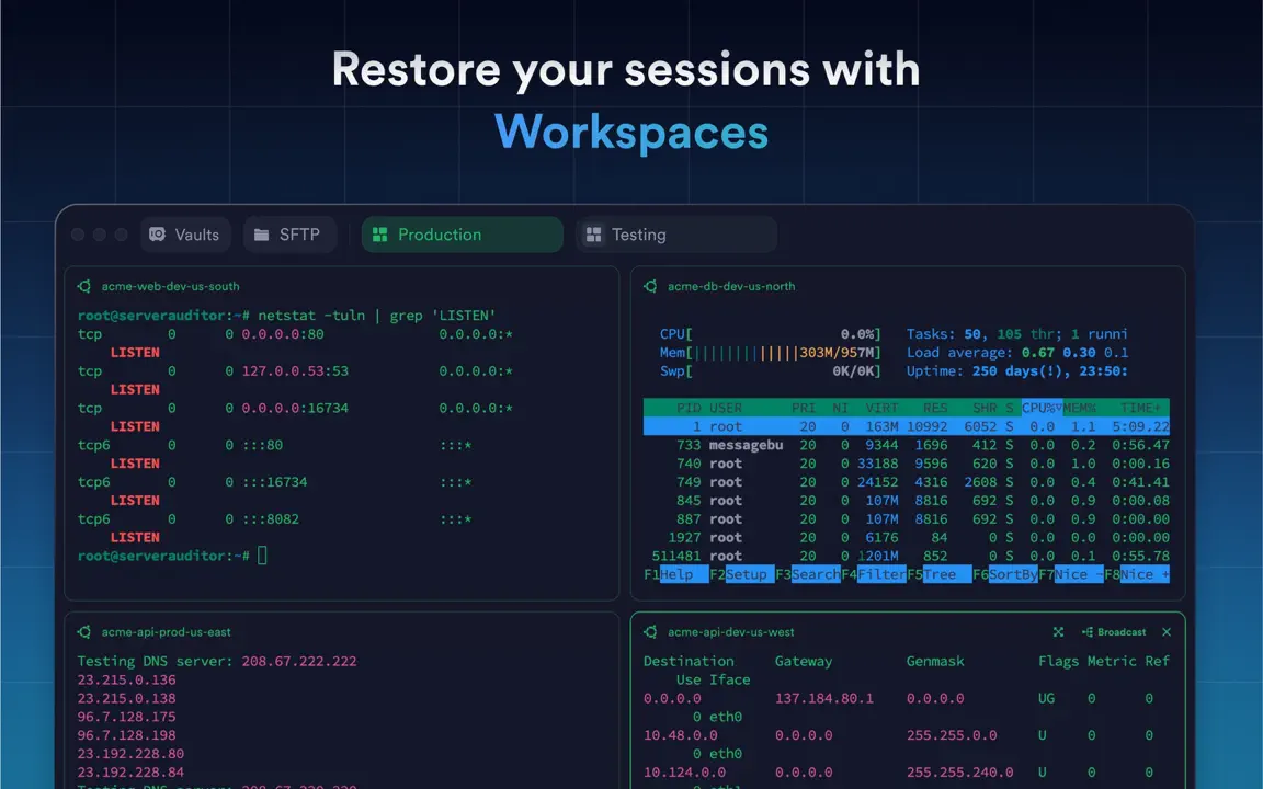 Termius: SSH Client & Terminal iPhone-skjermbilde 3