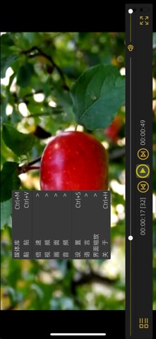 ulookplayer screenshot