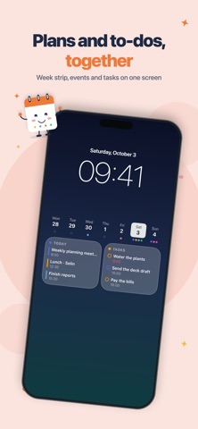 Planwall: Lock Screen Calendar Screenshot 4 of 6