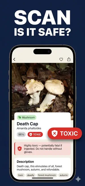 Lens: Translate + Image Search screenshot 1