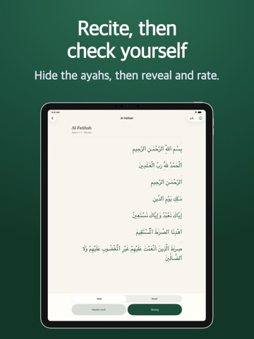HifzPath: Quran Memorization iPad screenshot 2