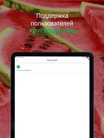 Arbuz iPad screenshot 3