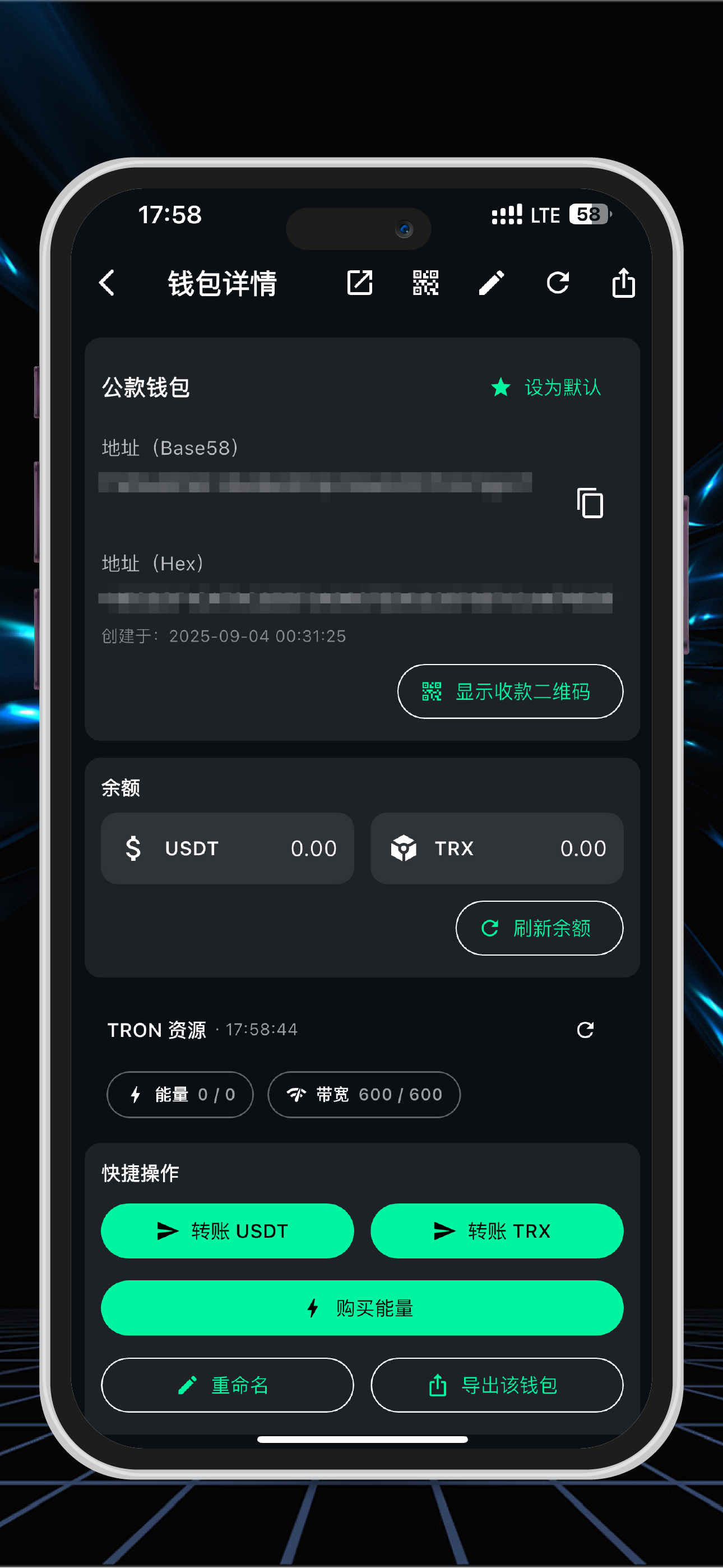 USDT Vault screenshot 5