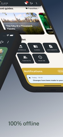 First Class Travel Group screenshot